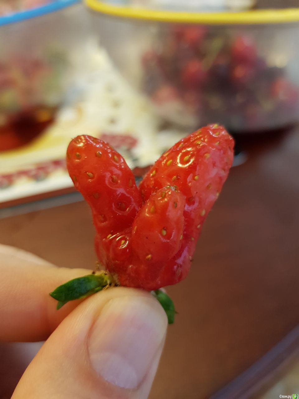 2017-06-04 08.16.48.jpg