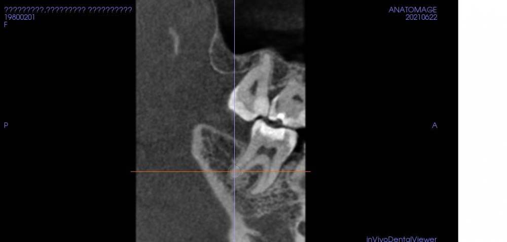 Белявская ЕД_М2.jpg