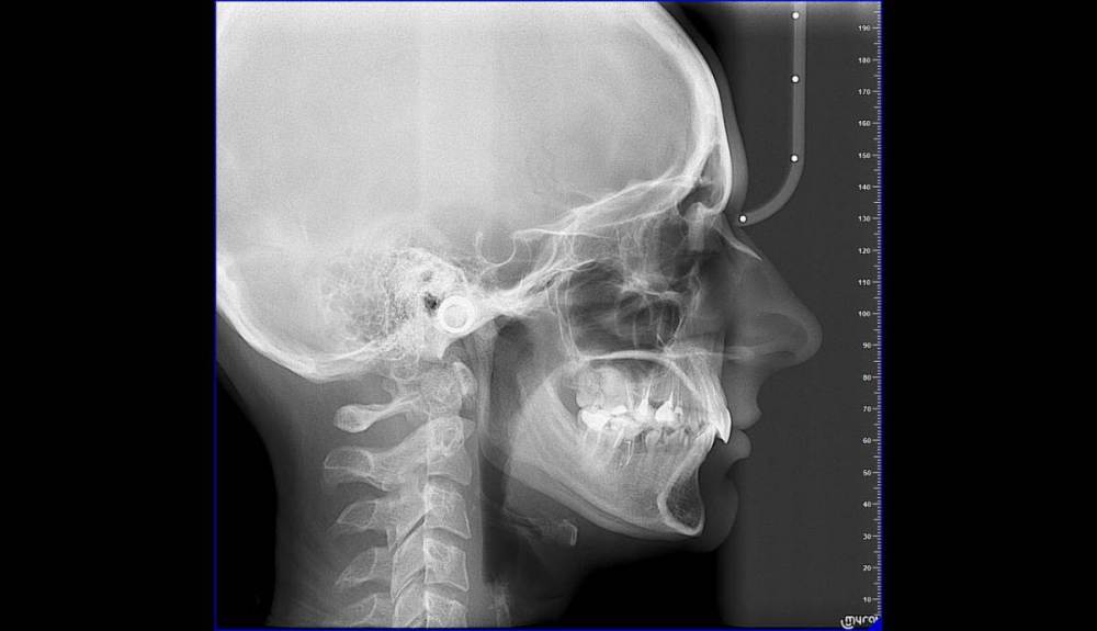 2021-08-31 11.44.27.jpg