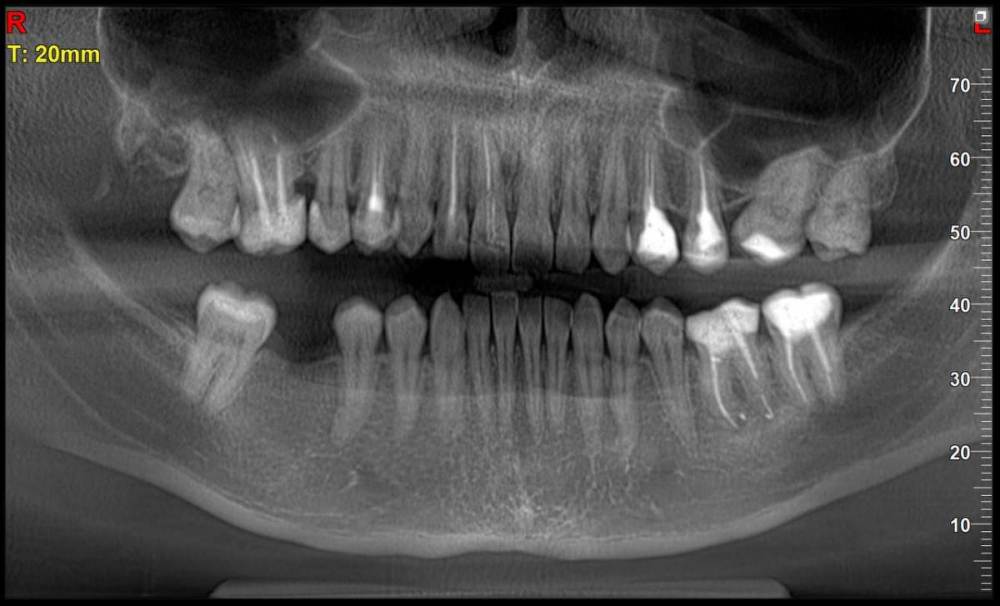 2021-08-31 11.44.33.jpg