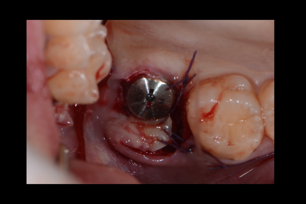 Снимок экрана (52).png