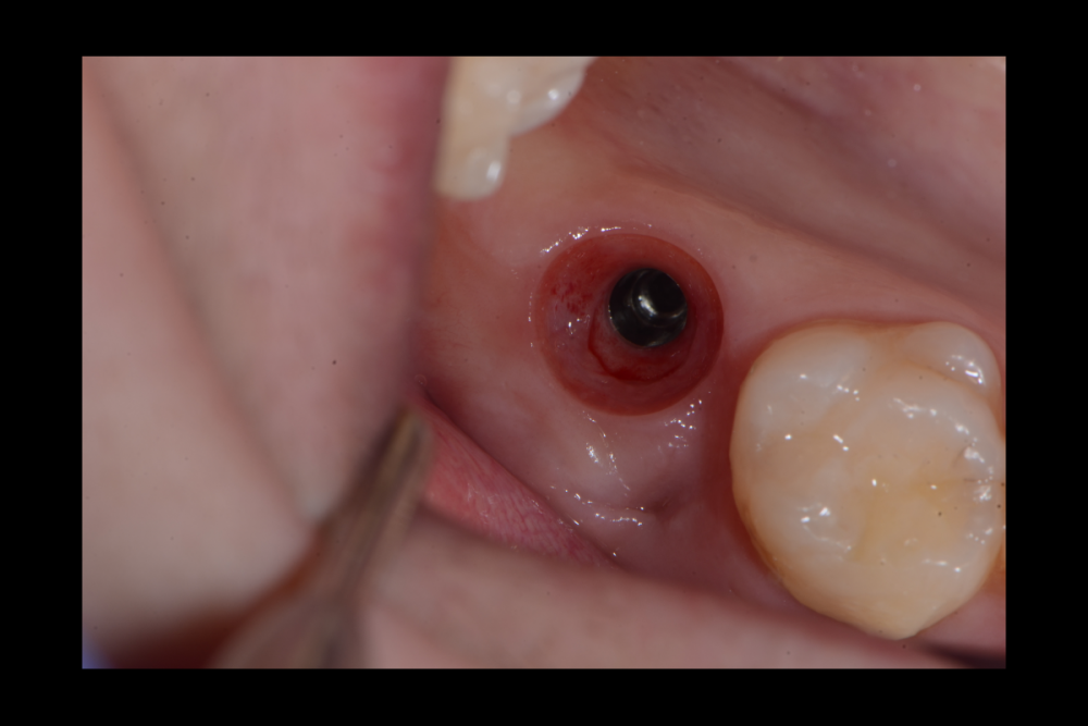 Снимок экрана (54).png