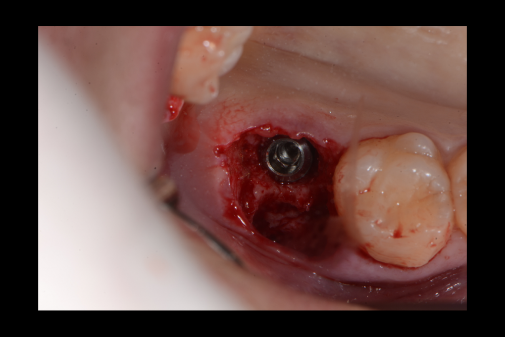 Снимок экрана (51).png