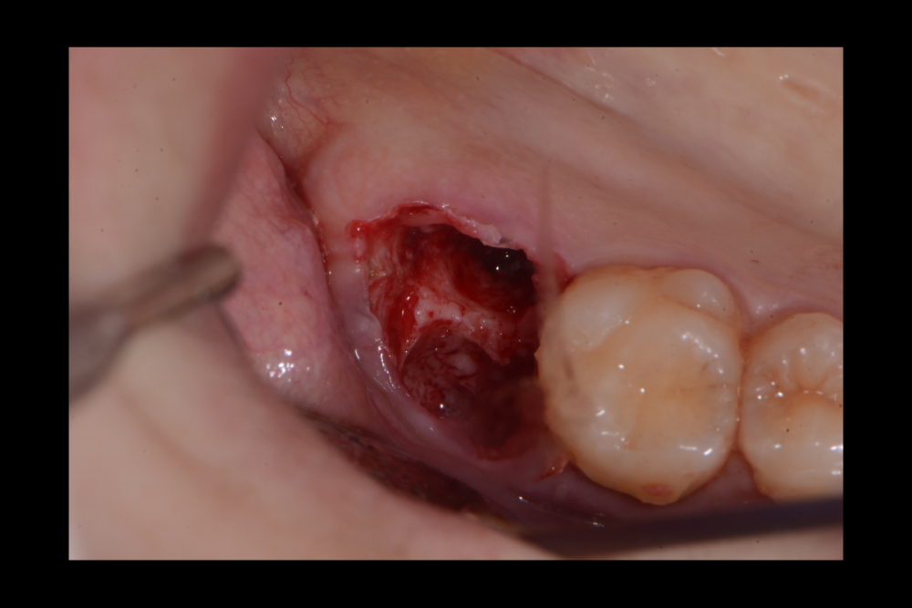 Снимок экрана (50).png