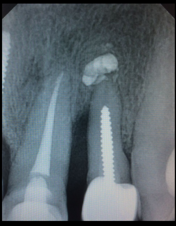 Снимок экрана (127).png