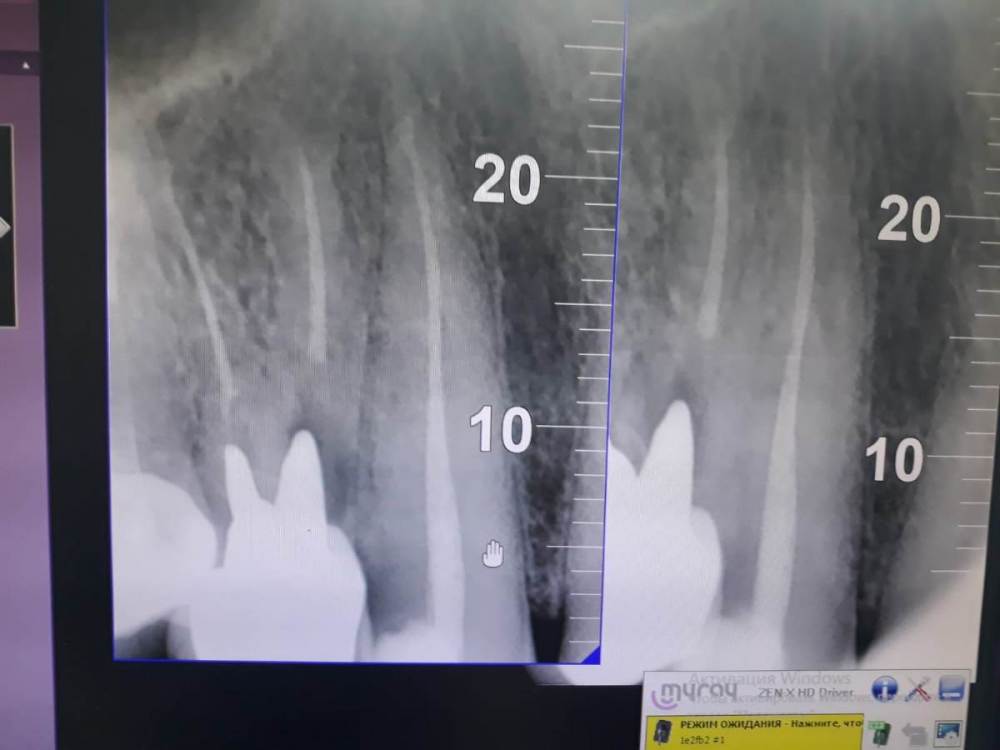 WhatsApp Image 2022-06-29 at 15.10.15.jpeg