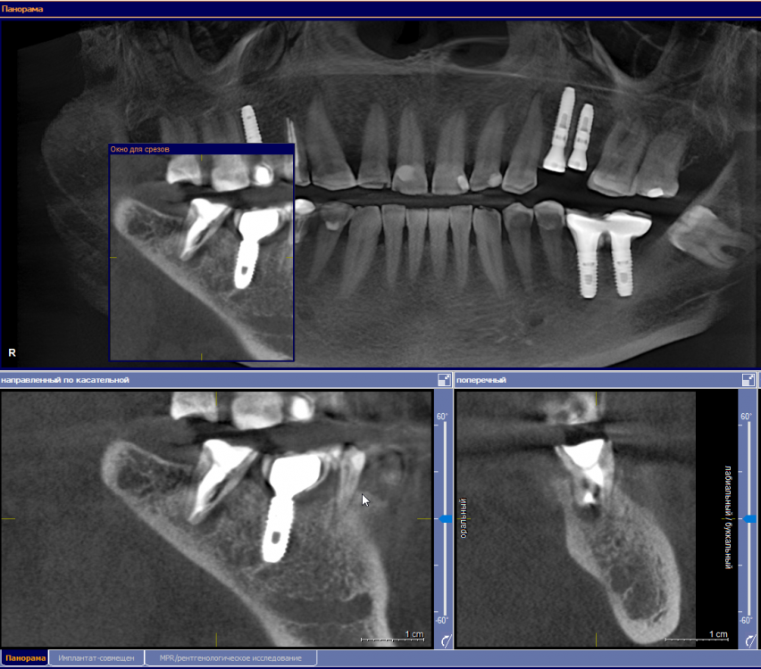 Скриншот 19-09-2022 101156.png