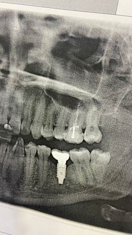 WhatsApp Image 2022-09-13 at 19.55.36.jpeg