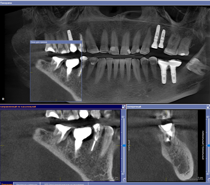 Скриншот 19-09-2022 101253.png