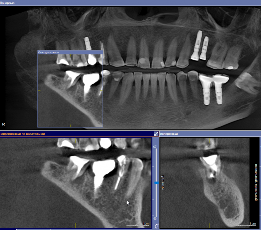 Скриншот 19-09-2022 101354.png