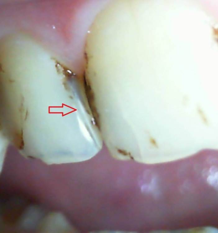 2022-02-10 20-01-56.317 — копия.jpg