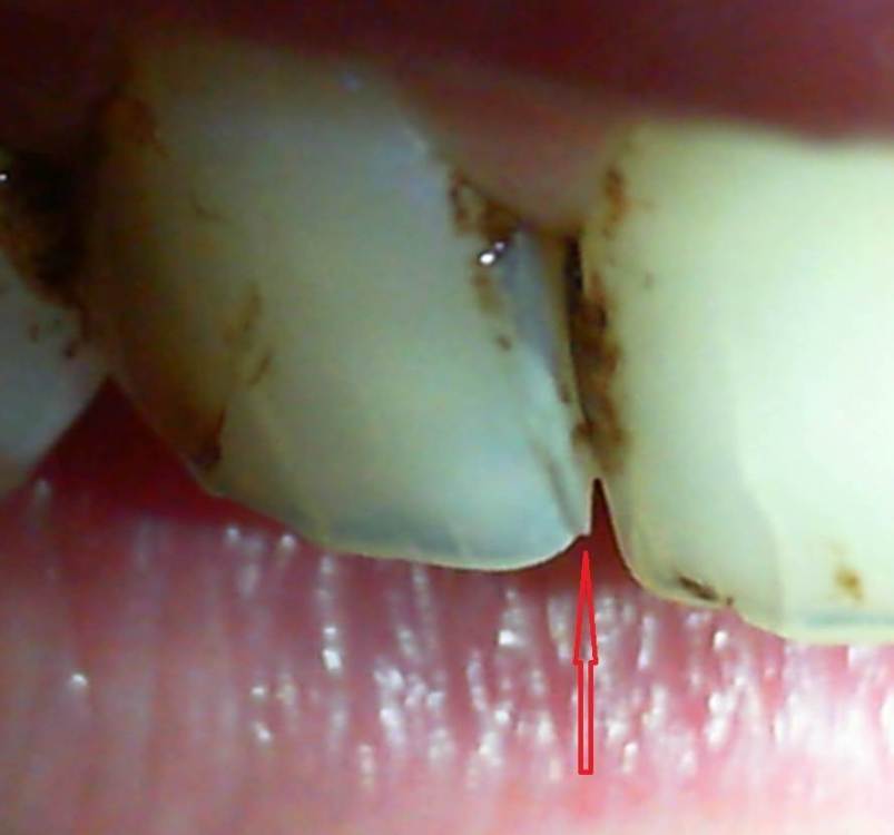 2022-02-10 20-05-04.316 — копия.jpg