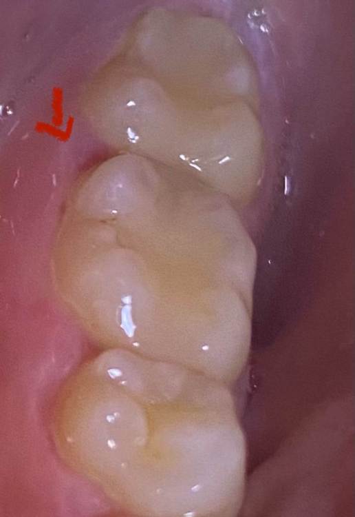 Изображение JPEG 5.jpeg