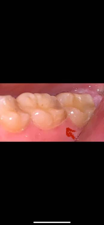 Изображение JPEG 6.jpeg