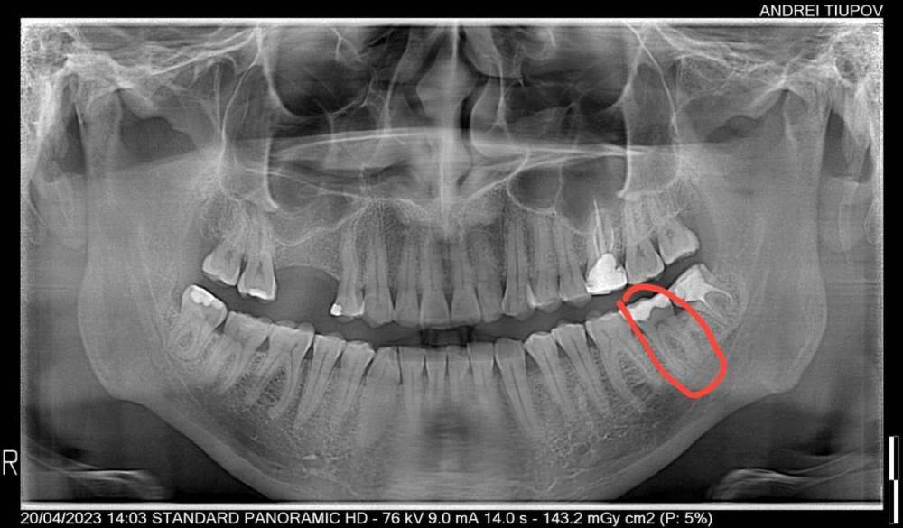 photo_2023-04-24 11.06.11.jpeg