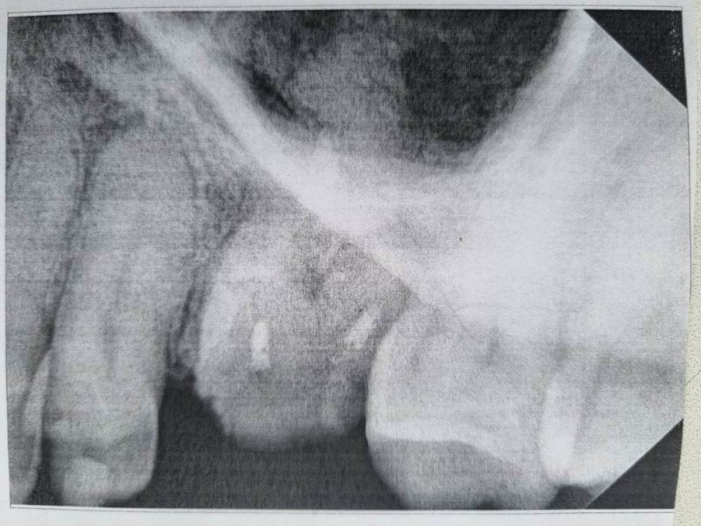 WhatsApp Image 2023-05-19 at 15.08.27.jpeg