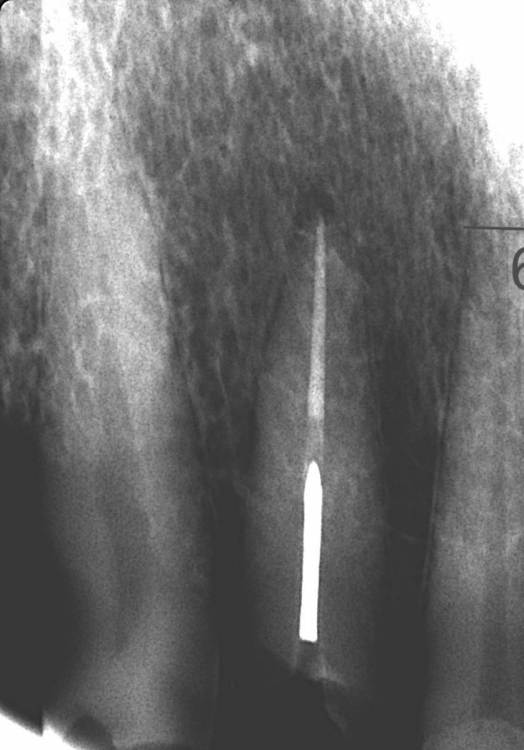 12_обл_смол (2).jpg
