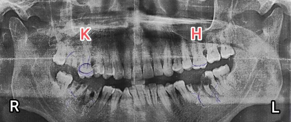 1 ПАНОРАМА.jpg