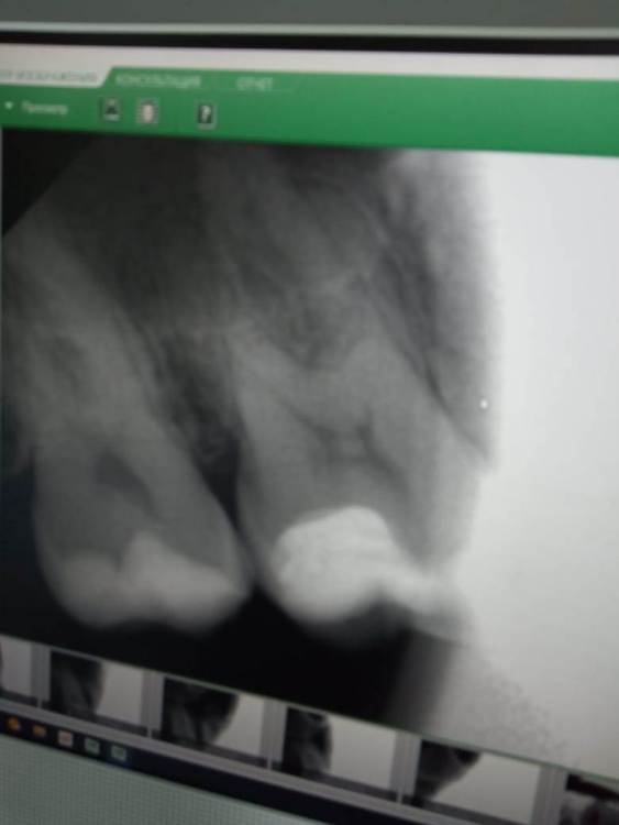 Изображение WhatsApp 2024-01-07 в 12.13.55_903a30f1.jpg