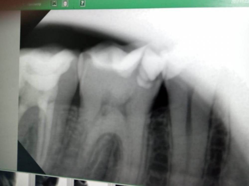 Изображение WhatsApp 2024-01-07 в 12.13.56_f3b5c512.jpg